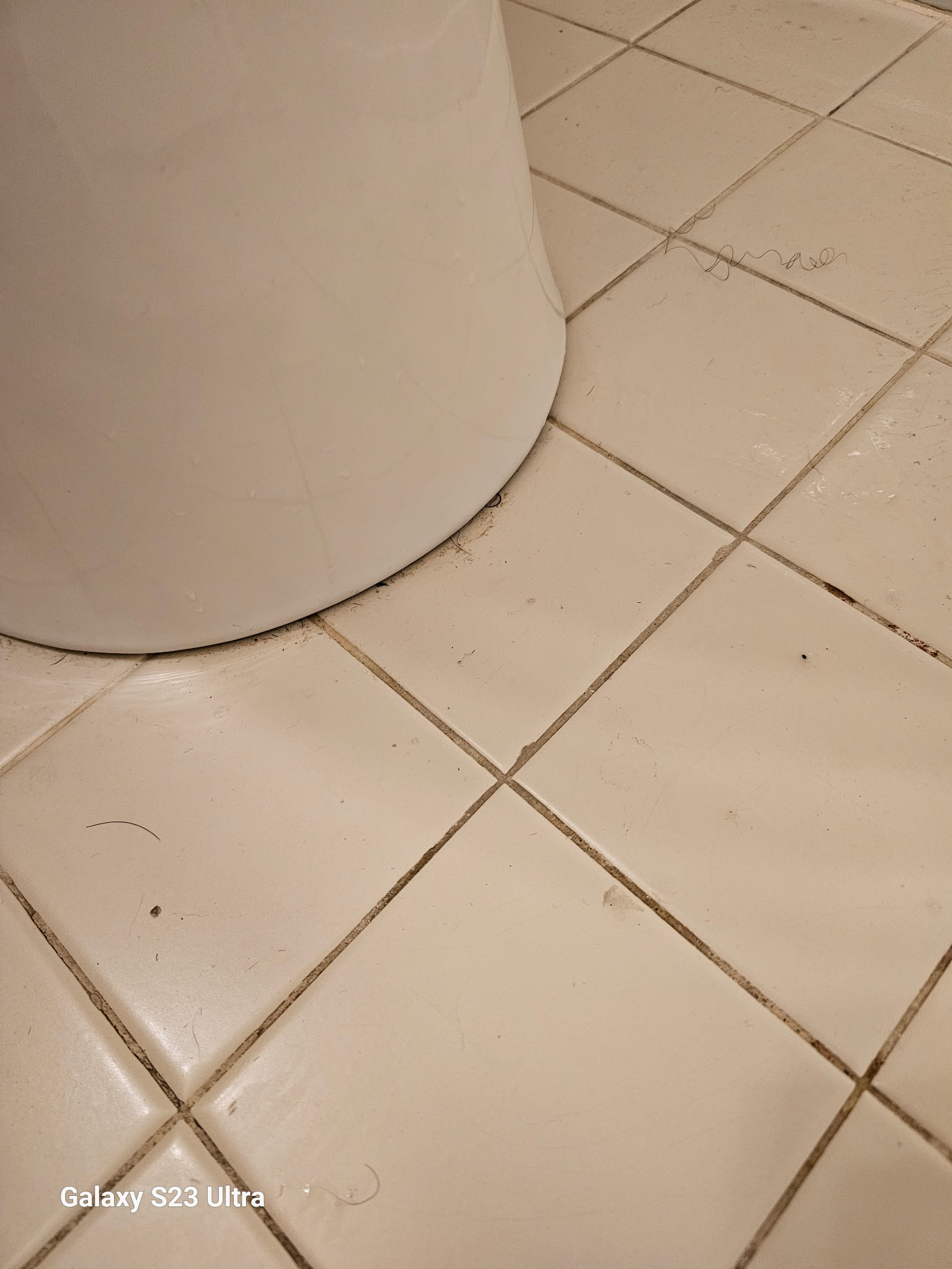 Tiled bathroom floor around the base of a toilet