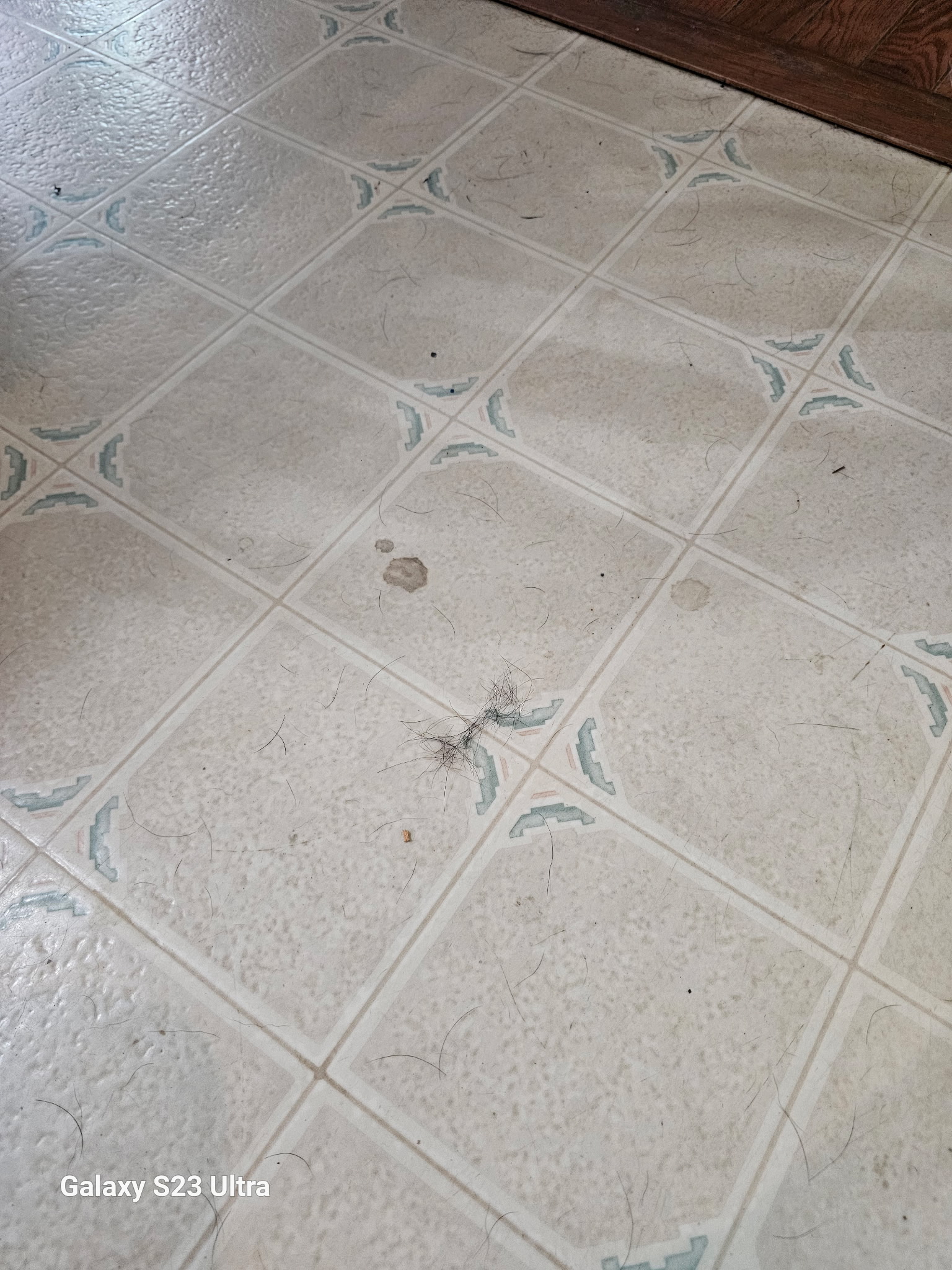 Residential floor in need of a complete move-out clean