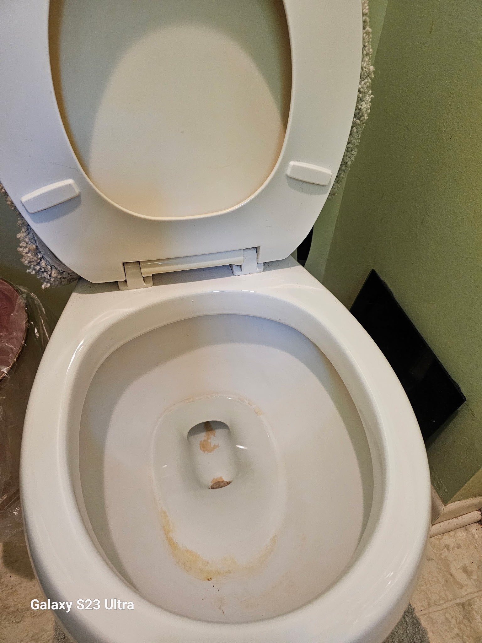 Bathroom toilet bowl before detailed cleaning